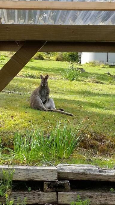 The Stone Cottage - Bruny Island Simpsons Bay Bagian luar foto